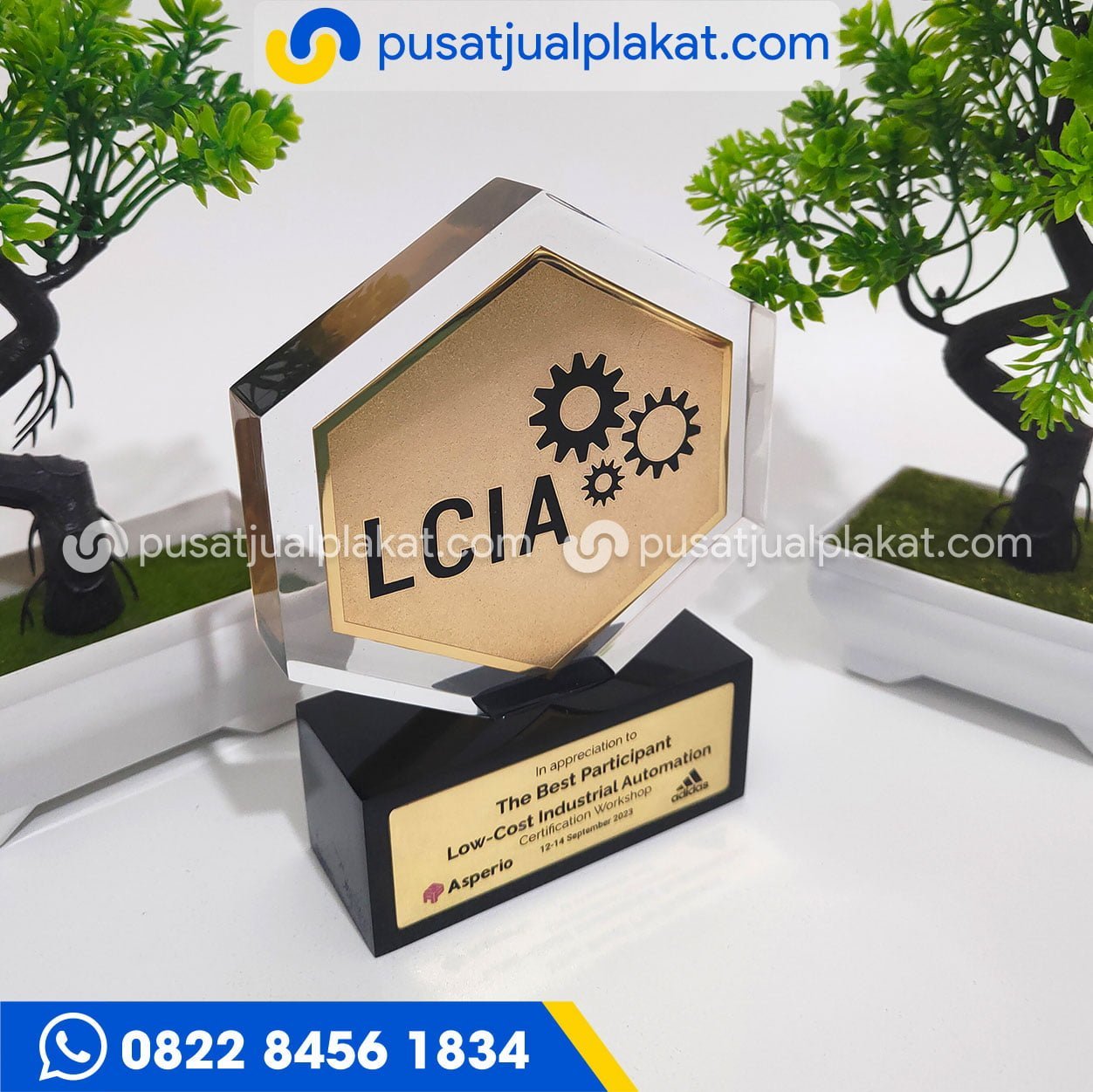 Plakat Apresiasi Custom Resin Kombinasi Kuningan